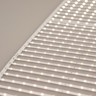 ed382c1930325c08c31af8552c8a16e5